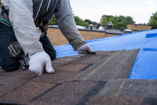 Roof Gutter Cleaning in Bonney Lake, WA